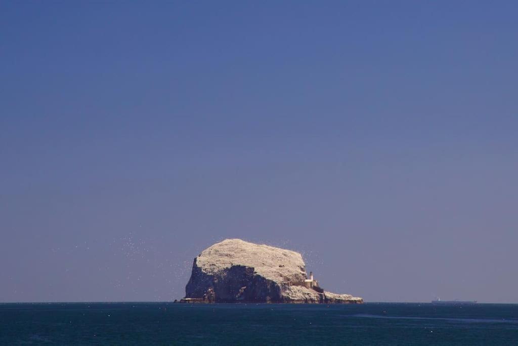 Appartamento Auldhame House East Wing, Seacliff North Berwick Esterno foto